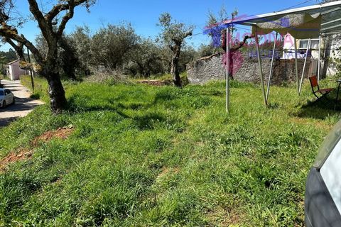 Landejendom i Castelo Branco, Castelo Branco, Castelo Branco - € 25.000 | Ref: VV313/0424 - foto 32