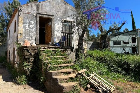 Landejendom i Castelo Branco, Castelo Branco, Castelo Branco - € 25.000 | Ref: VV313/0424 - foto 33