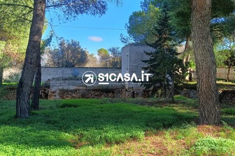 Terra a Galatone, Lecce, Galatone - € 22.000 | Ref: CDM-1287 - foto 2