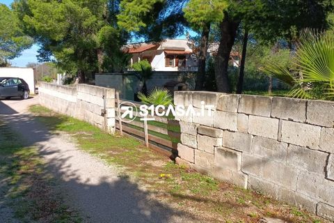 Terra a Galatone, Lecce, Galatone - € 22.000 | Ref: CDM-1287 - foto 4