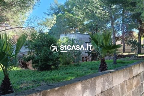 Terra a Galatone, Lecce, Galatone - € 22.000 | Ref: CDM-1287 - foto 5