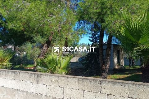 Terra a Galatone, Lecce, Galatone - € 22.000 | Ref: CDM-1287 - foto 6