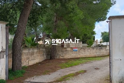 Terra a Galatone, Lecce, Galatone - € 22.000 | Ref: CDM-1287 - foto 7