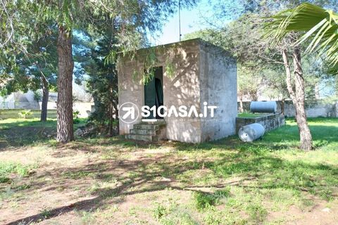 Terra a Galatone, Lecce, Galatone - € 22.000 | Ref: CDM-1287 - foto 9