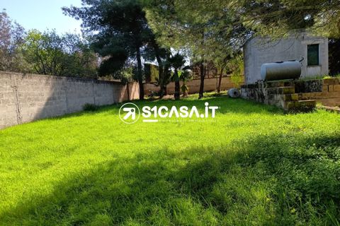 Terra a Galatone, Lecce, Galatone - € 22.000 | Ref: CDM-1287 - foto 10