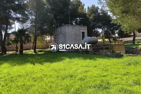 Terra a Galatone, Lecce, Galatone - € 22.000 | Ref: CDM-1287 - foto 11