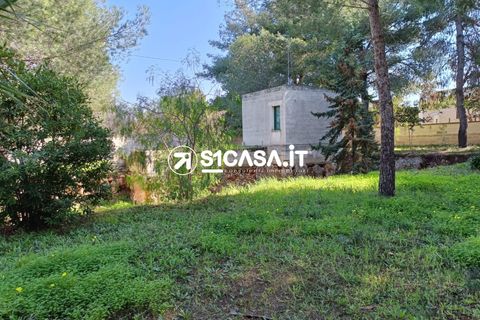 Terra a Galatone, Lecce, Galatone - € 22.000 | Ref: CDM-1287 - foto 12