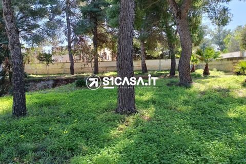 Terra a Galatone, Lecce, Galatone - € 22.000 | Ref: CDM-1287 - foto 13