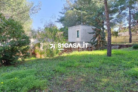 Terra a Galatone, Lecce, Galatone - € 22.000 | Ref: CDM-1287 - foto 14