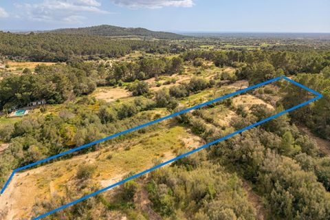Helårsgrund i Llucmajor, Mallorca, Llucmajor - € 47.000 | Ref: 07CJ040/3010 - foto 1
