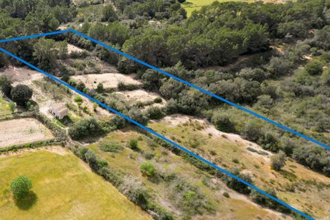 Helårsgrund i Llucmajor, Mallorca, Llucmajor - € 47.000 | Ref: 07CJ040/3010 - foto 3