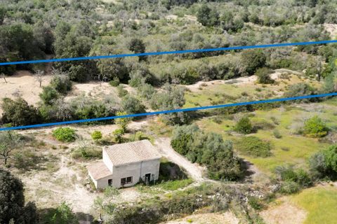 Helårsgrund i Llucmajor, Mallorca, Llucmajor - € 47.000 | Ref: 07CJ040/3010 - foto 5
