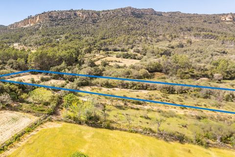 Helårsgrund i Llucmajor, Mallorca, Llucmajor - € 47.000 | Ref: 07CJ040/3010 - foto 6