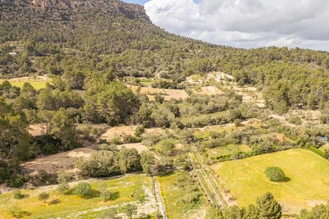 Helårsgrund i Llucmajor, Mallorca, Llucmajor - € 47.000 | Ref: 07CJ040/3010 - foto 7