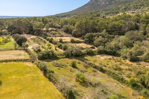 Helårsgrund i Llucmajor, Mallorca, Llucmajor - € 47.000 | Ref: 07CJ040/3010 - foto 8