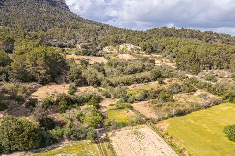Helårsgrund i Llucmajor, Mallorca, Llucmajor - € 47.000 | Ref: 07CJ040/3010 - foto 11