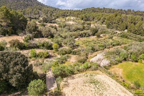 Helårsgrund i Llucmajor, Mallorca, Llucmajor - € 47.000 | Ref: 07CJ040/3010 - foto 12