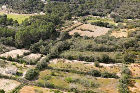 Helårsgrund i Llucmajor, Mallorca, Llucmajor - € 47.000 | Ref: 07CJ040/3010 - foto 13