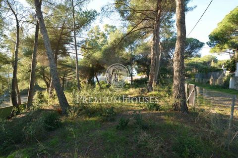 Terra a Alella, Barcelona, Alella - € 1.500.000 | Ref: W-029MYO/3699 - foto 4