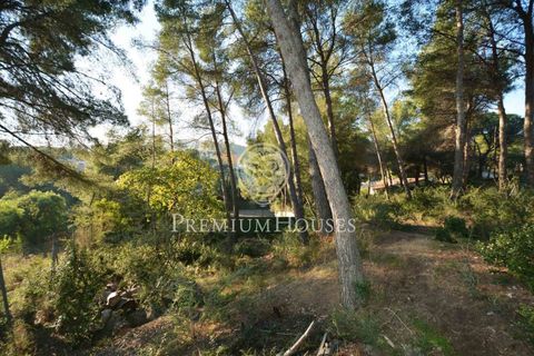 Terra a Alella, Barcelona, Alella - € 1.500.000 | Ref: W-029MYO/3699 - foto 5