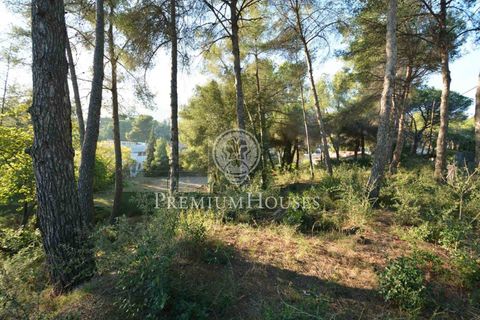 Terra a Alella, Barcelona, Alella - € 1.500.000 | Ref: W-029MYO/3699 - foto 6