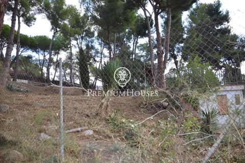 Terra a Alella, Barcelona, Alella - € 1.500.000 | Ref: W-029MYO/3699 - foto 7
