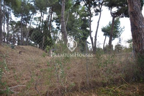 Terra a Alella, Barcelona, Alella - € 1.500.000 | Ref: W-029MYO/3699 - foto 8