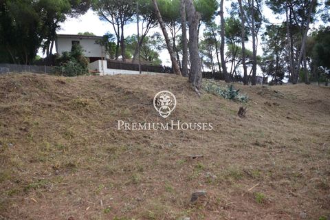 Terra a Alella, Barcelona, Alella - € 1.500.000 | Ref: W-029MYO/3699 - foto 11