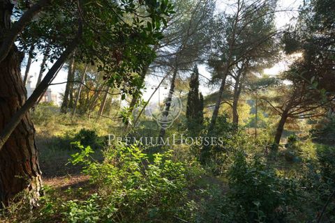 Terra a Alella, Barcelona, Alella - € 1.500.000 | Ref: W-029MYO/3699 - foto 15