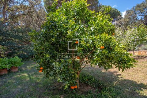 Villa i Platja D'aro, Gerona, Platja D'aro - € 1.500.000 | Ref: PDA50191 - foto 46
