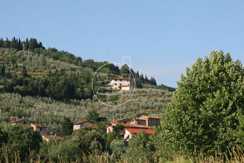 Landejendom i Arezzo, Arezzo, Arezzo - € 1.500.000 | Ref: DIC.13386 - foto 5