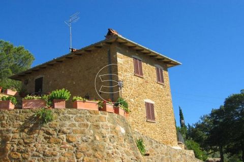 Landejendom i Trequanda, Siena, Trequanda - € 2.000.000 | Ref: DIC.13389 - foto 10
