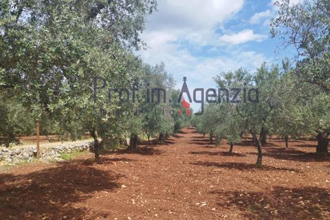 Landejendom i Carovigno, Brindisi, Carovigno - € 200.000 | Ref: 122670 - foto 10