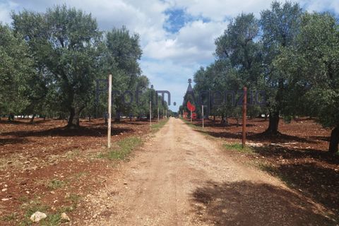 Landejendom i Carovigno, Brindisi, Carovigno - € 200.000 | Ref: 122670 - foto 7