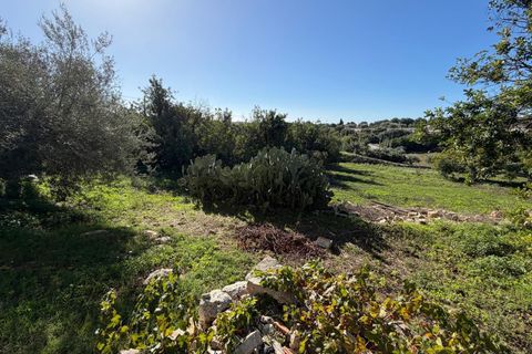 Villa i Modica, Ragusa, Modica - € 179.000 | Ref: 11435 - foto 30