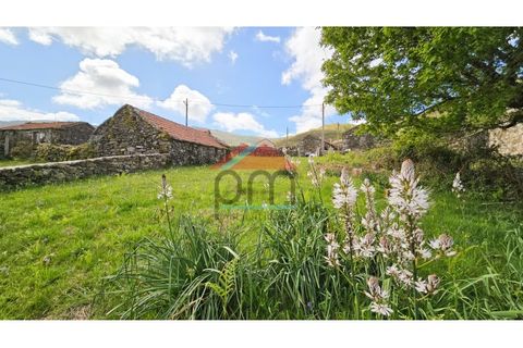 Villa i Gave, Viana do Castelo, Gave - € 46.000 | Ref: M466 - foto 9