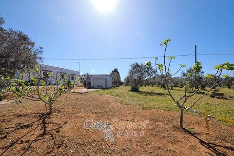 Villa i Gallipoli, Lecce, Gallipoli - € 275 000 | Ref: GAF-275ARE - foto 3