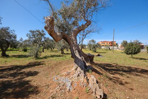 Villa i Gallipoli, Lecce, Gallipoli - € 275 000 | Ref: GAF-275ARE - foto 4