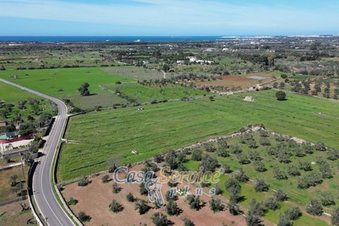 Villa i Gallipoli, Lecce, Gallipoli - € 275 000 | Ref: GAF-275ARE - foto 48