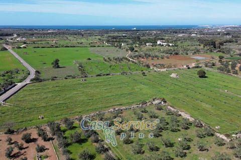 Villa i Gallipoli, Lecce, Gallipoli - € 275 000 | Ref: GAF-275ARE - foto 49