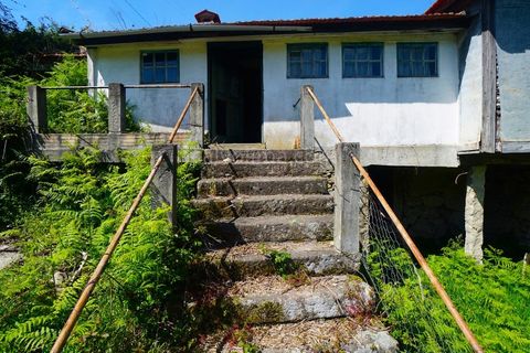 Villa i Viana do Castelo, Viana do Castelo, Viana do Castelo - € 95.000 | Ref: 4175 - foto 2