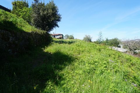 Villa i Viana do Castelo, Viana do Castelo, Viana do Castelo - € 95.000 | Ref: 4175 - foto 12