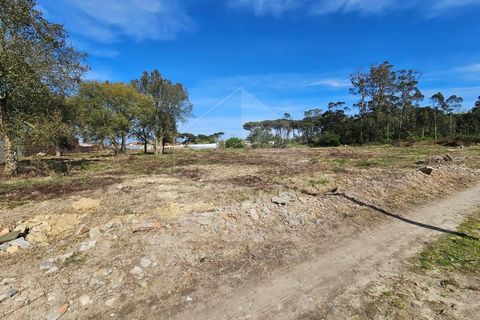 Helårsgrund i Apulia, Braga, Apulia - € 420.000 | Ref: 039240050 - foto 2