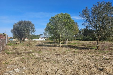 Helårsgrund i Apulia, Braga, Apulia - € 420.000 | Ref: 039240050 - foto 3