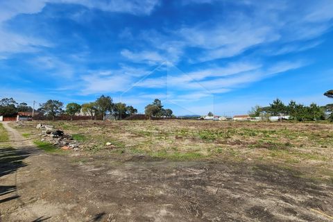 Helårsgrund i Apulia, Braga, Apulia - € 420.000 | Ref: 039240050 - foto 4