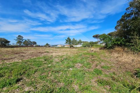 Helårsgrund i Apulia, Braga, Apulia - € 420.000 | Ref: 039240050 - foto 5