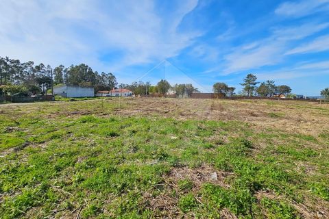 Helårsgrund i Apulia, Braga, Apulia - € 420.000 | Ref: 039240050 - foto 6
