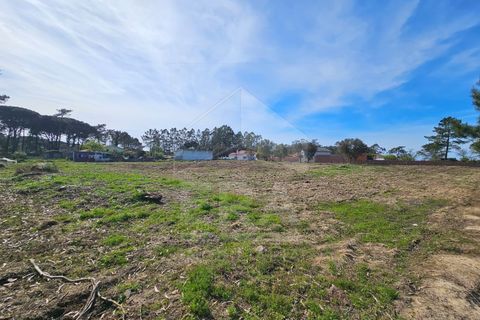 Helårsgrund i Apulia, Braga, Apulia - € 420.000 | Ref: 039240050 - foto 8