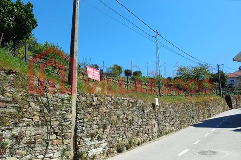 Terra a Moimenta da Beira, Viseu, Moimenta da Beira - € 150.000 | Ref: SÒL_338 - foto 2