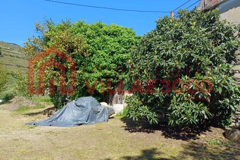 Terra a Moimenta da Beira, Viseu, Moimenta da Beira - € 150.000 | Ref: SÒL_338 - foto 3